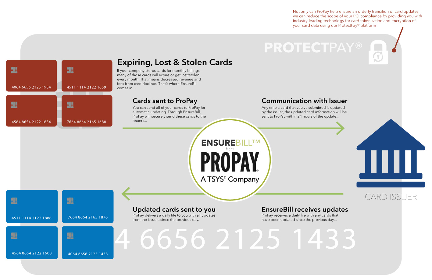 ProtectPay Infographic
