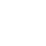 White Car Icon