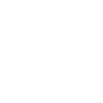 White globe icon