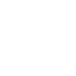 White globe icon